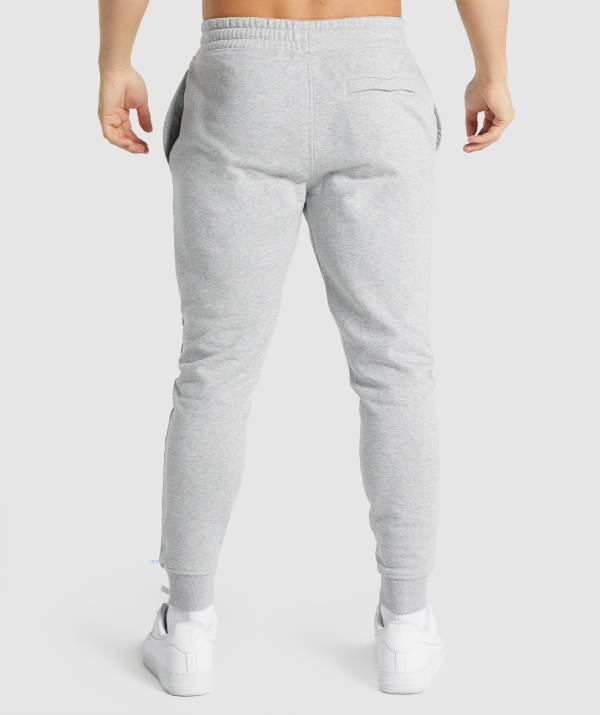 Panske Joggers Gymshark Crest Svetlo Siva | TB1765024